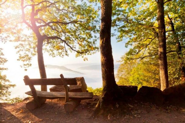 Rastplatz während der Tafeltour Saarschleife